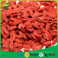 Bulk-Goji-Beeren Großhandel Goji-Beere